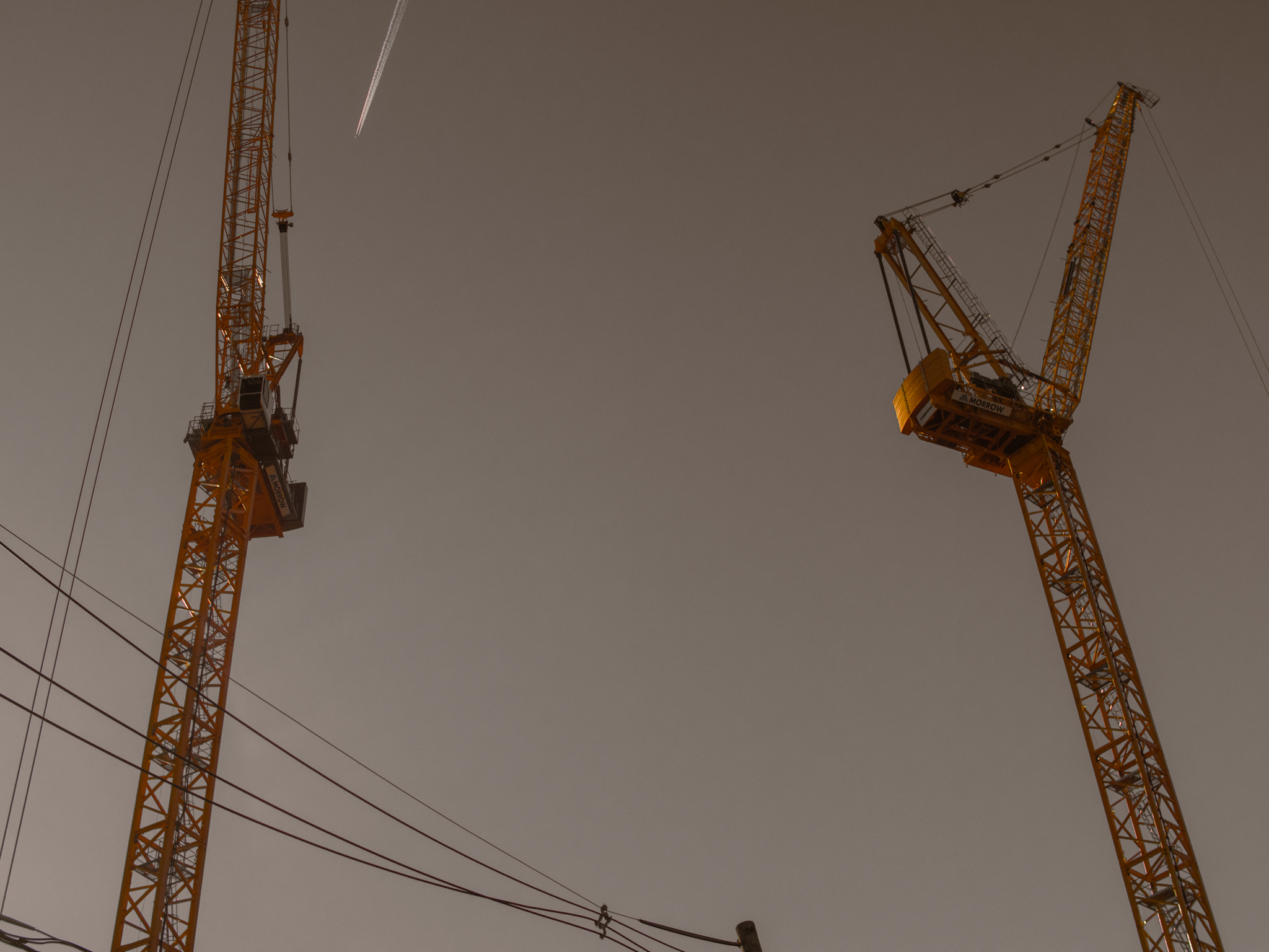 Two cranes