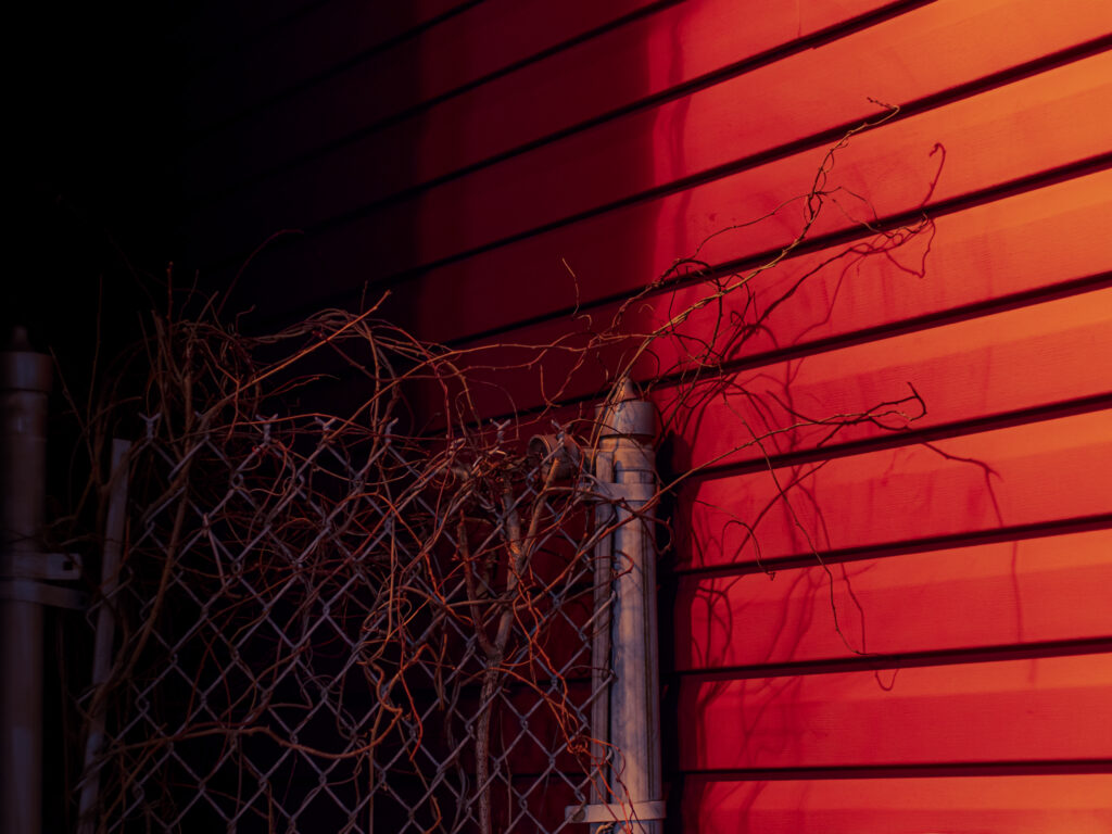 Vines and a gate near a house